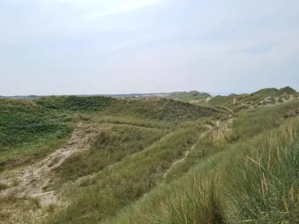 Bild 35 von 35