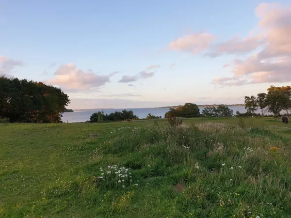 Bild 37 von 38
