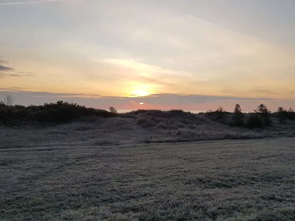 Bild 36 von 40