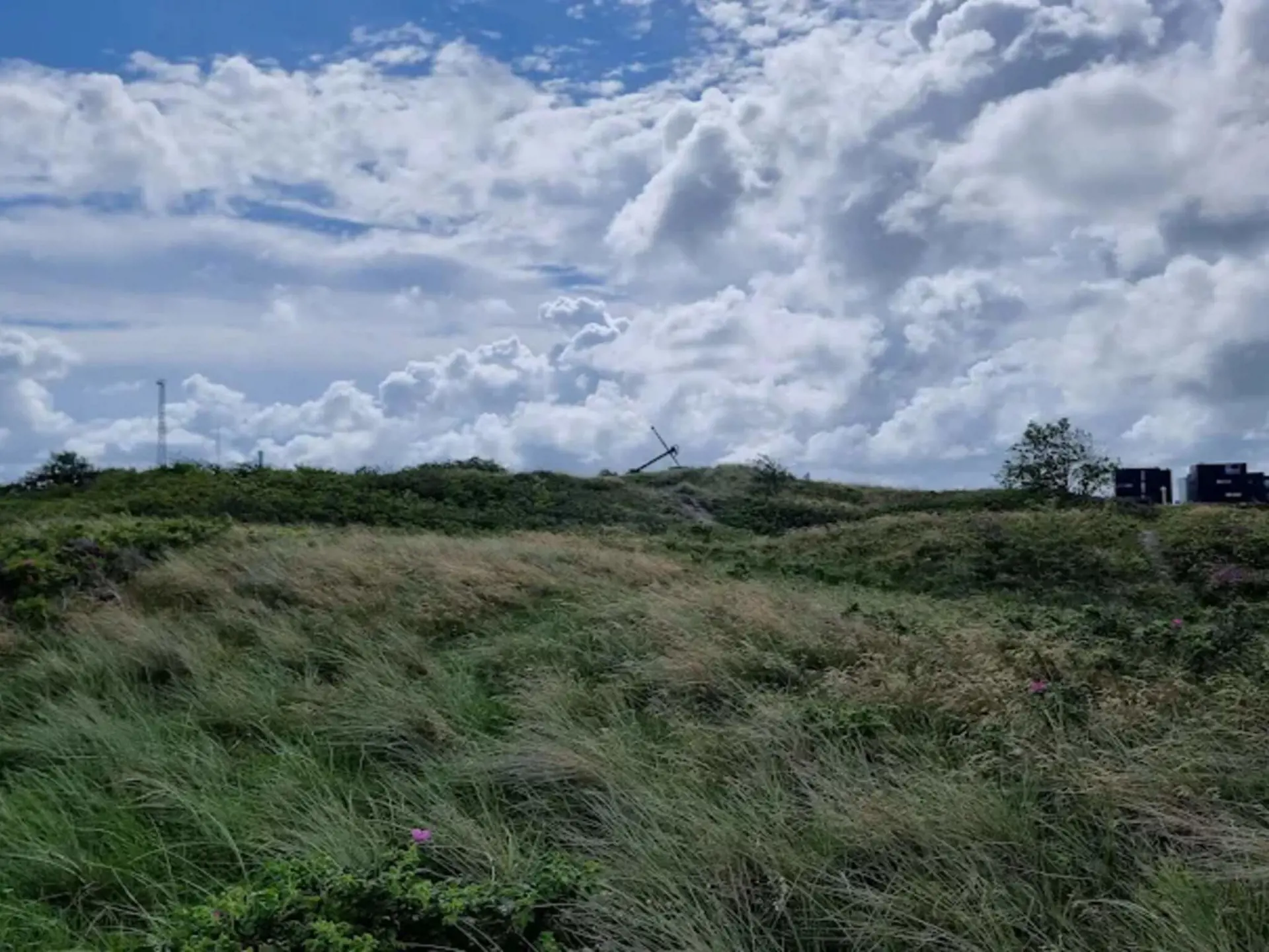 Bild 37 von 40