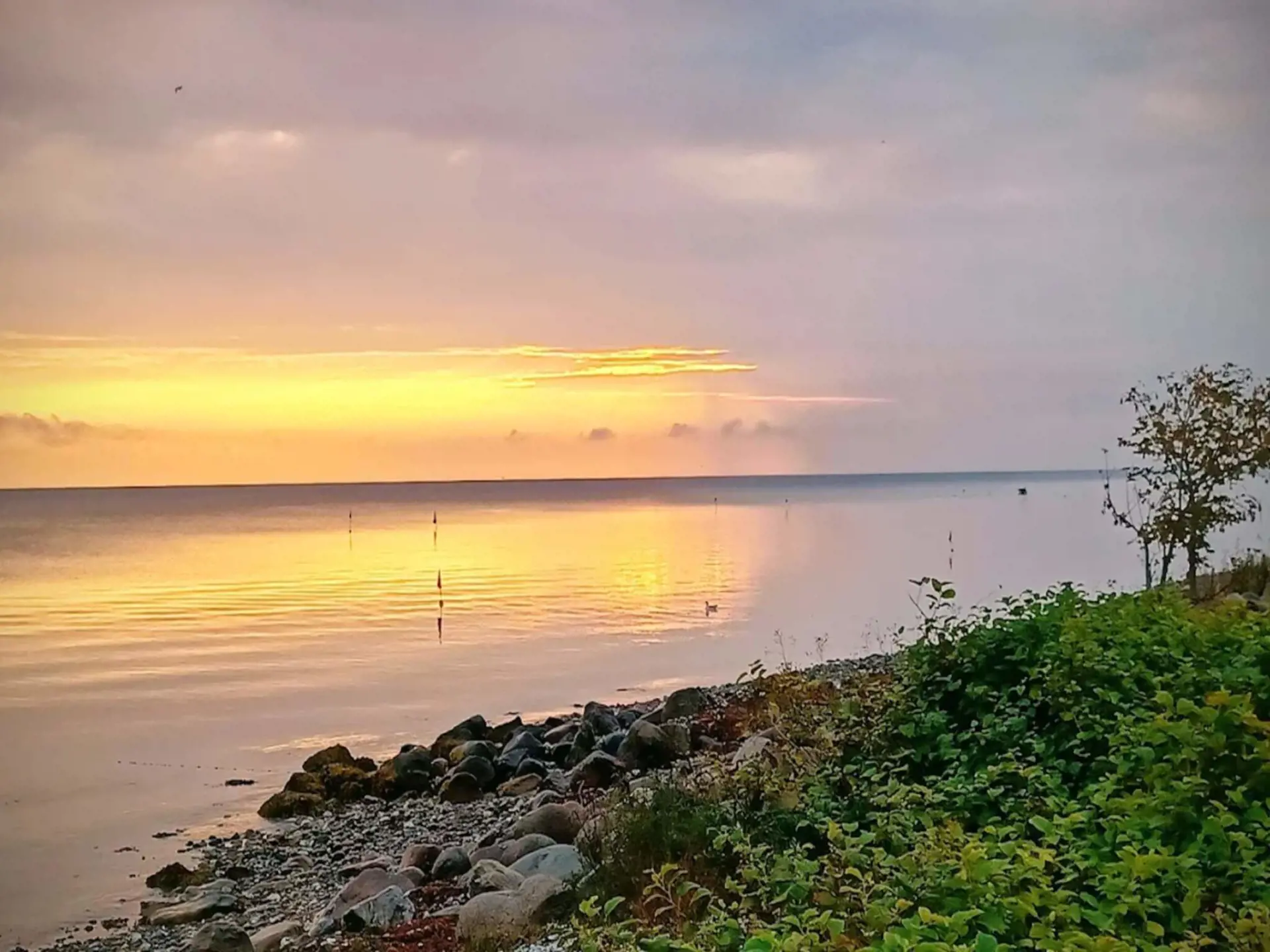Bild 30 von 48
