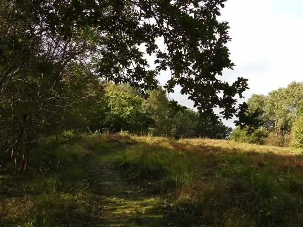 Bild 35 von 37
