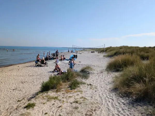 Bild 39 von 46