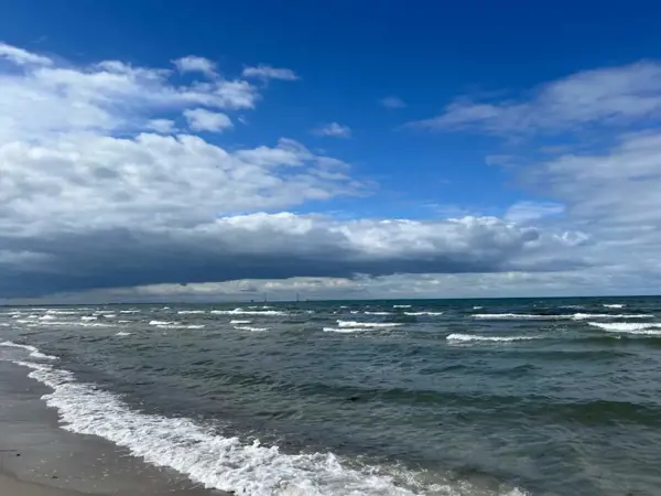 Bild 29 von 54