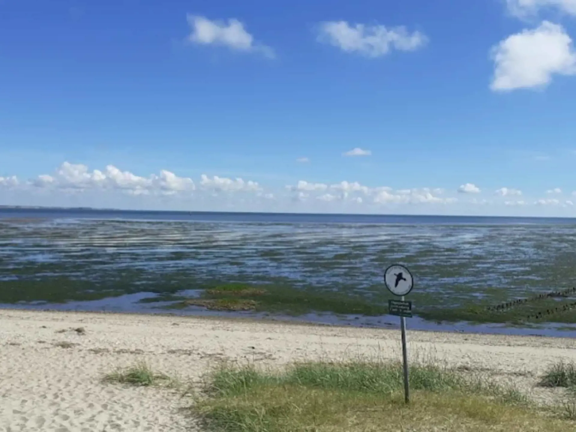 Bild 31 von 59