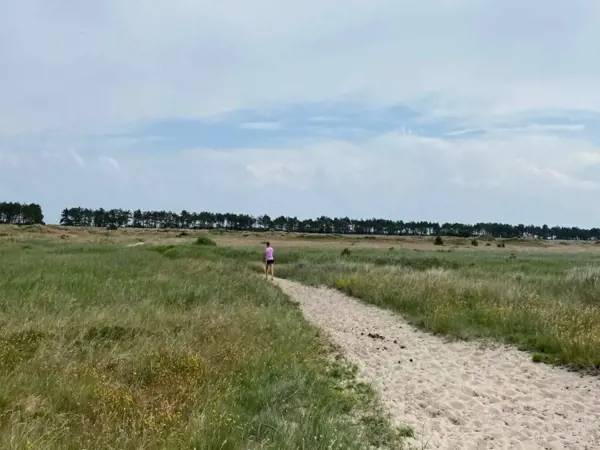 Bild 44 von 44