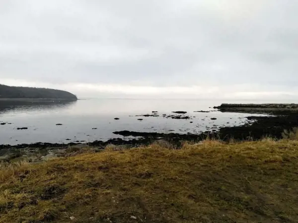 Bild 26 von 42