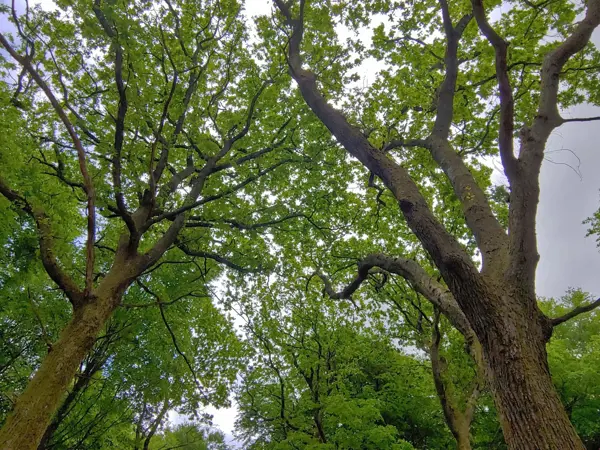 Bild 35 von 37