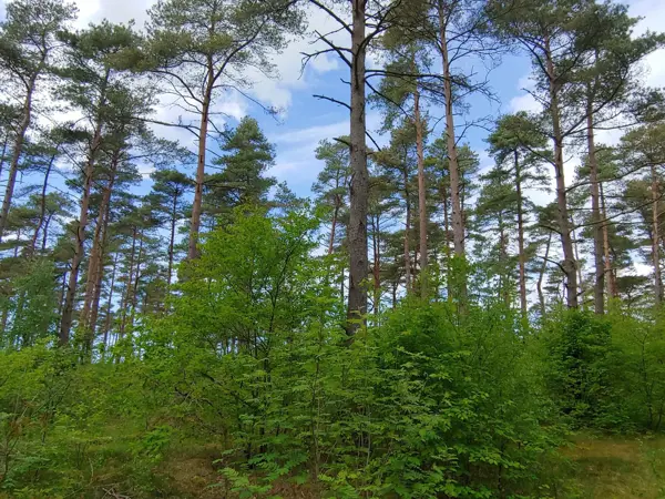 Bild 36 von 37