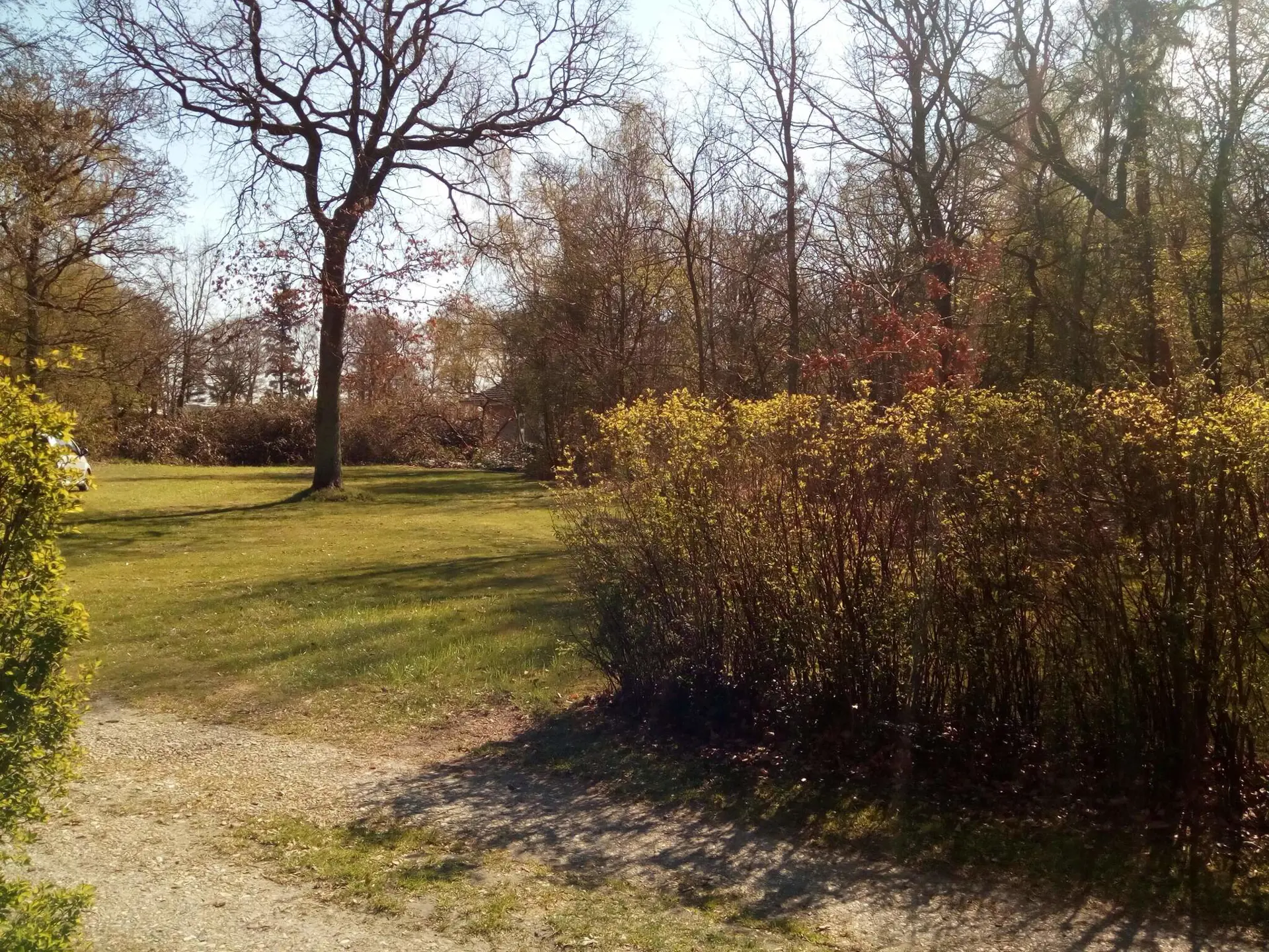 Bild 39 von 40