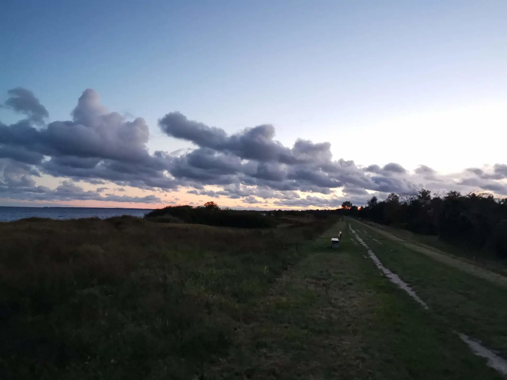 Bild 38 von 40
