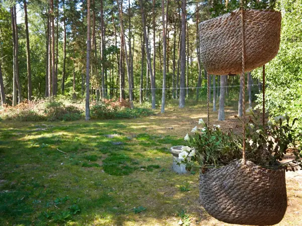 Bild 7 von 21