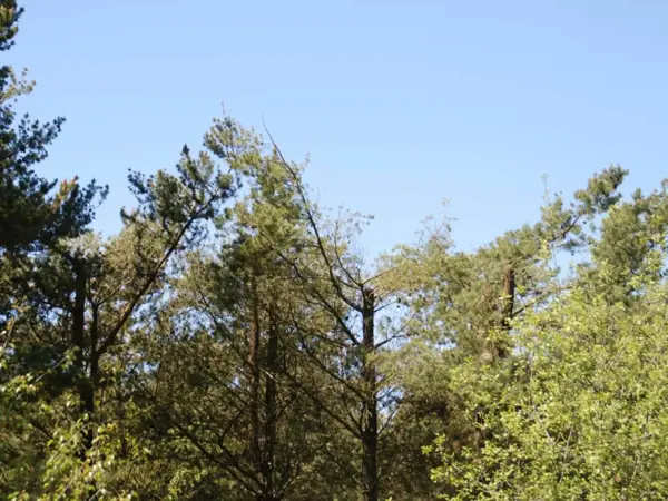 Bild 35 von 40