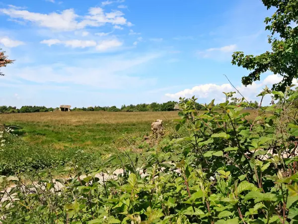 Bild 7 von 24