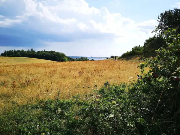 Bild 22 von 40