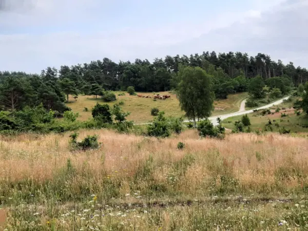 Bild 36 von 40
