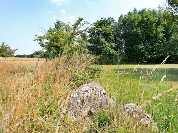 Bild 9 von 37