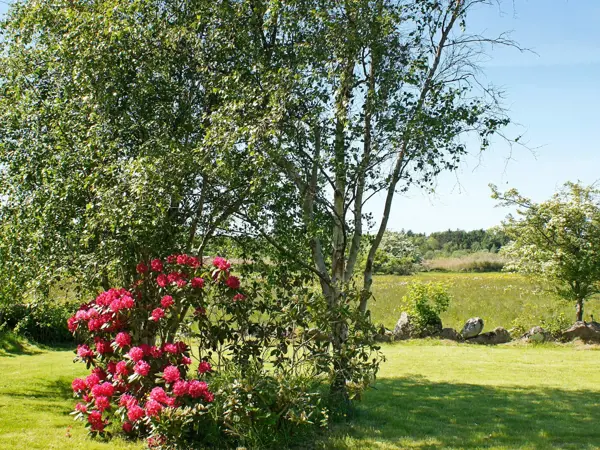 Bild 37 von 37
