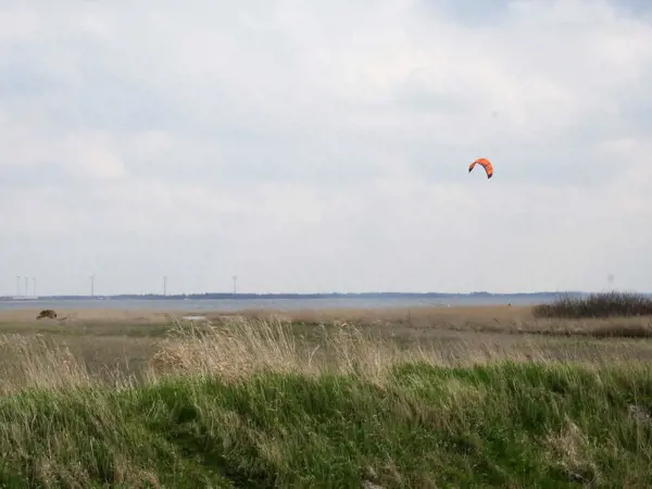 Bild 8 von 29