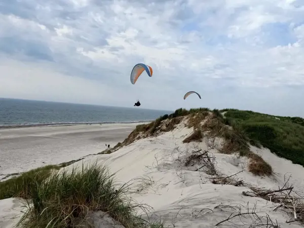 Bild 39 von 41