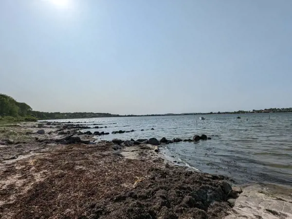 Bild 15 von 35