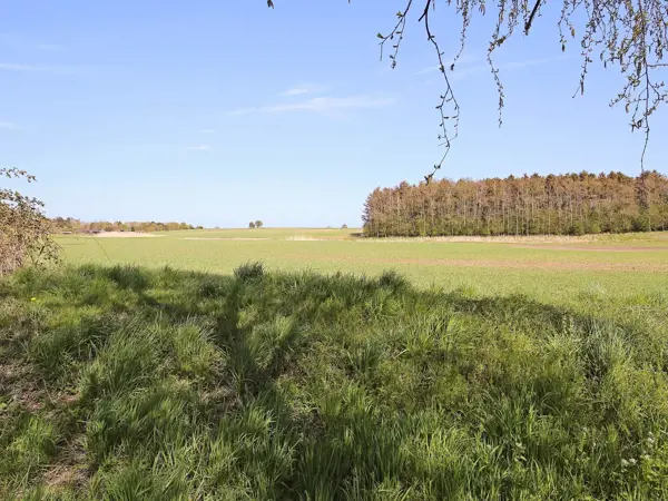 Bild 5 von 20
