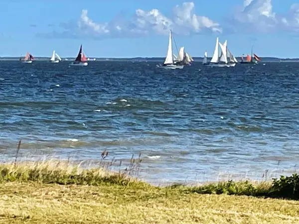 Bild 49 von 50