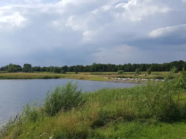 Bild 14 von 31