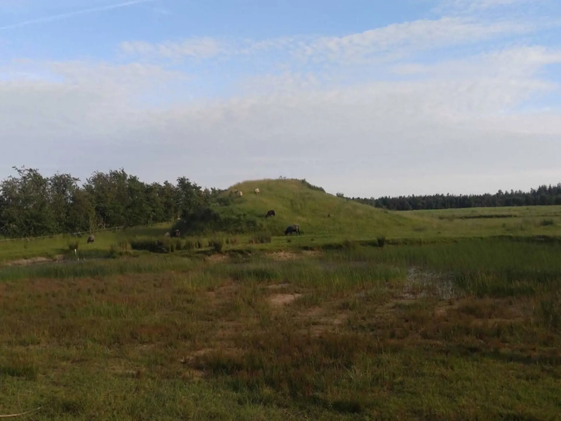 Bild 34 von 41