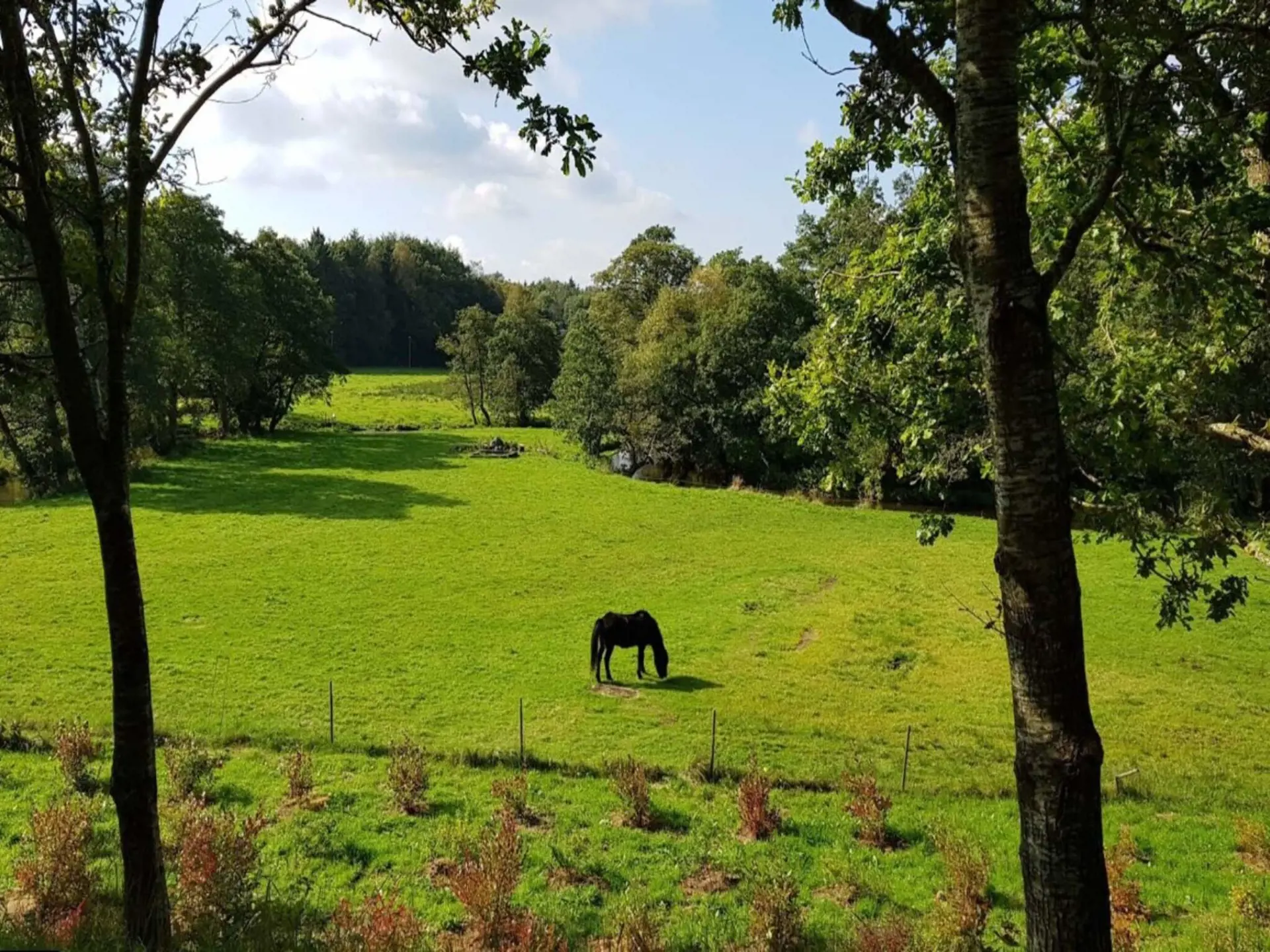 Bild 36 von 41