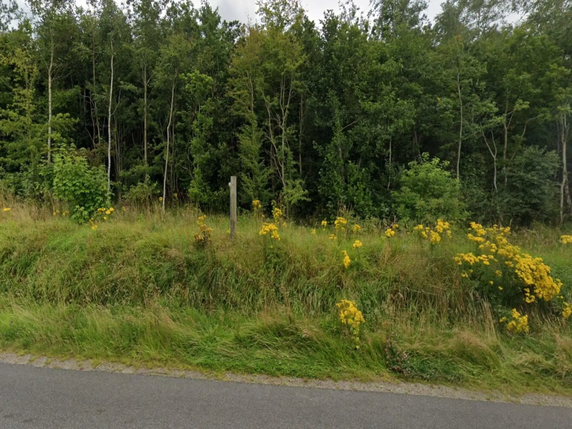 Bild 37 von 41