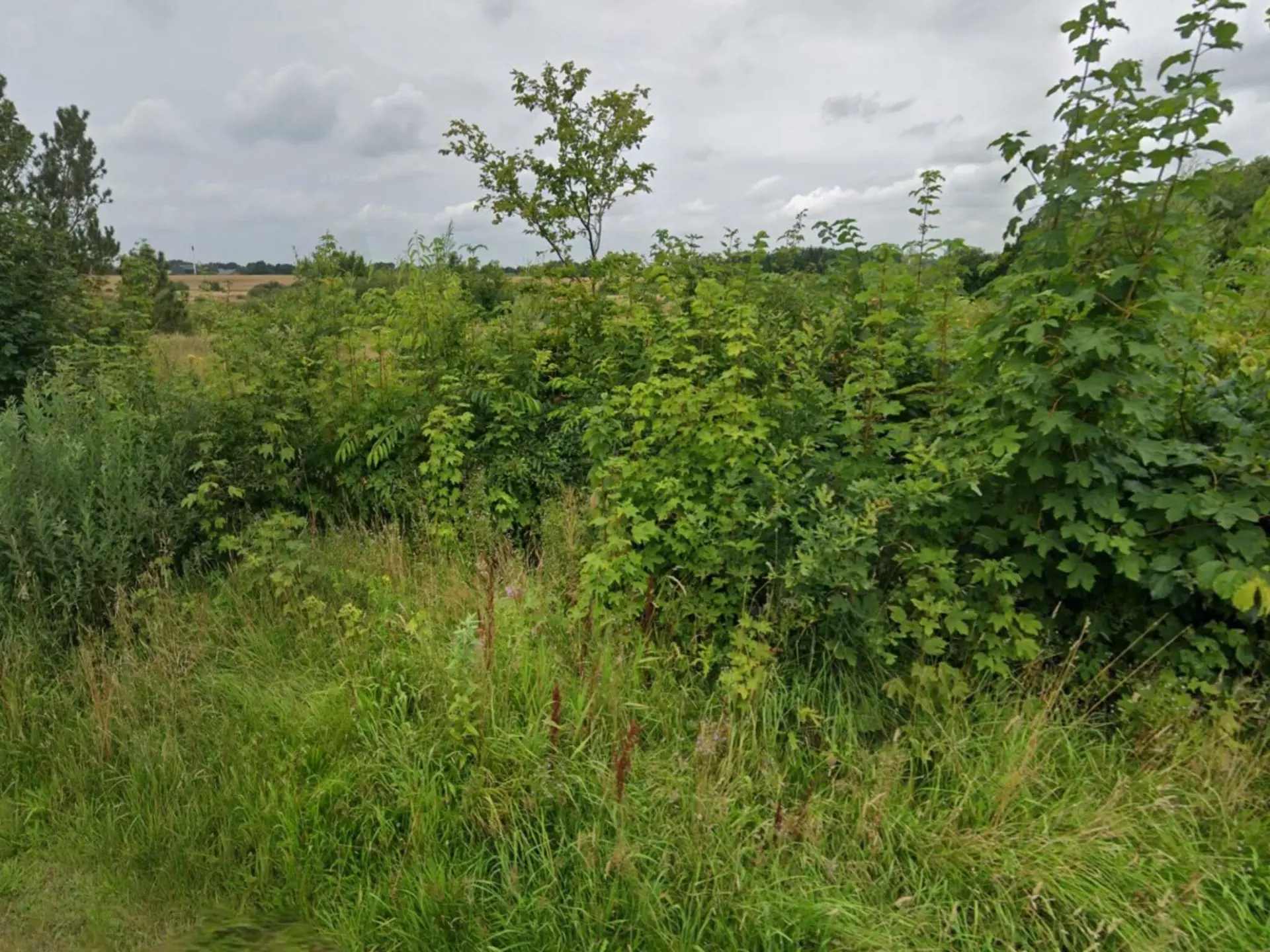 Bild 38 von 41