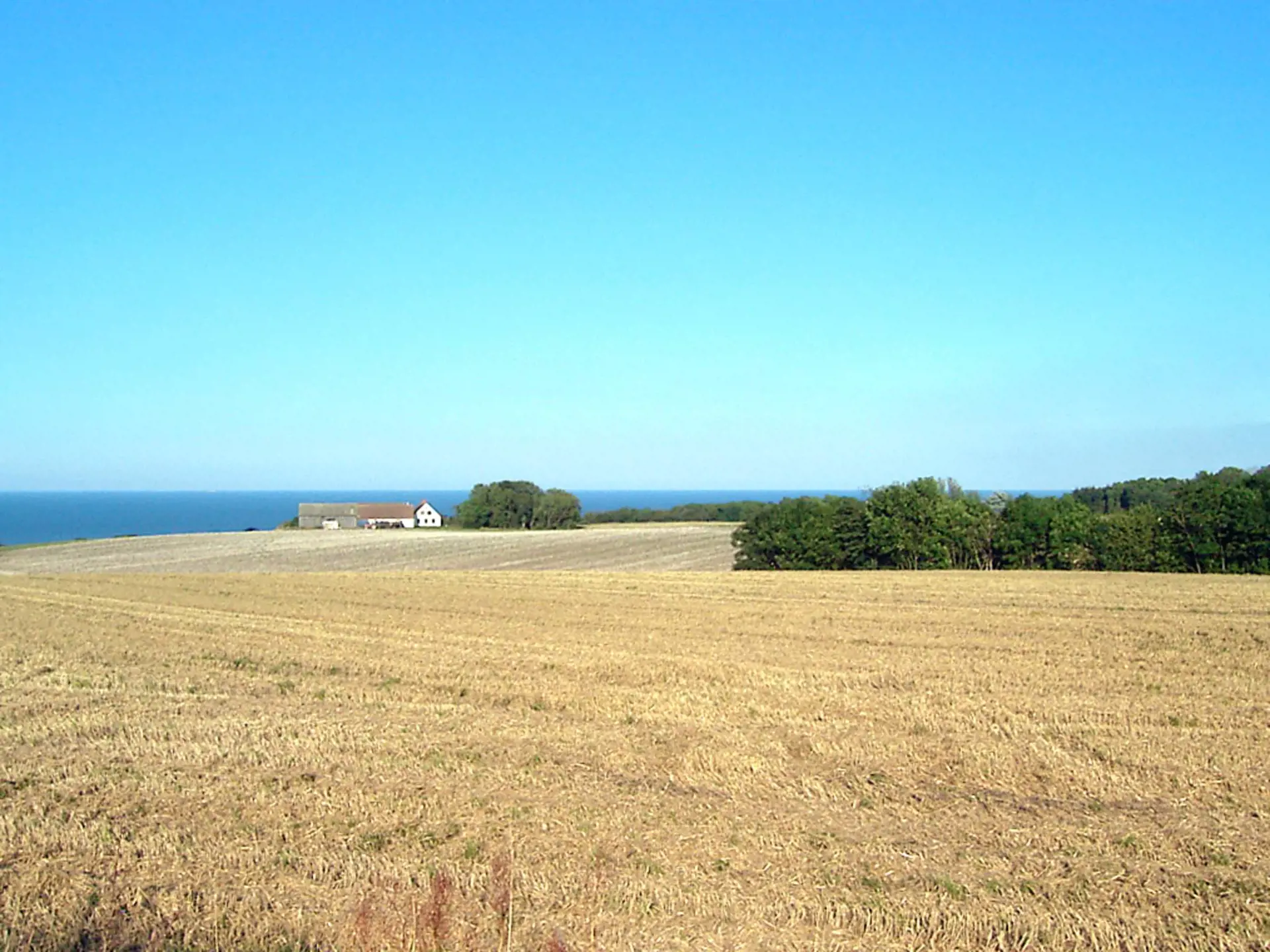 Bild 6 von 32