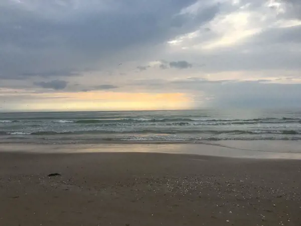 Bild 25 von 41