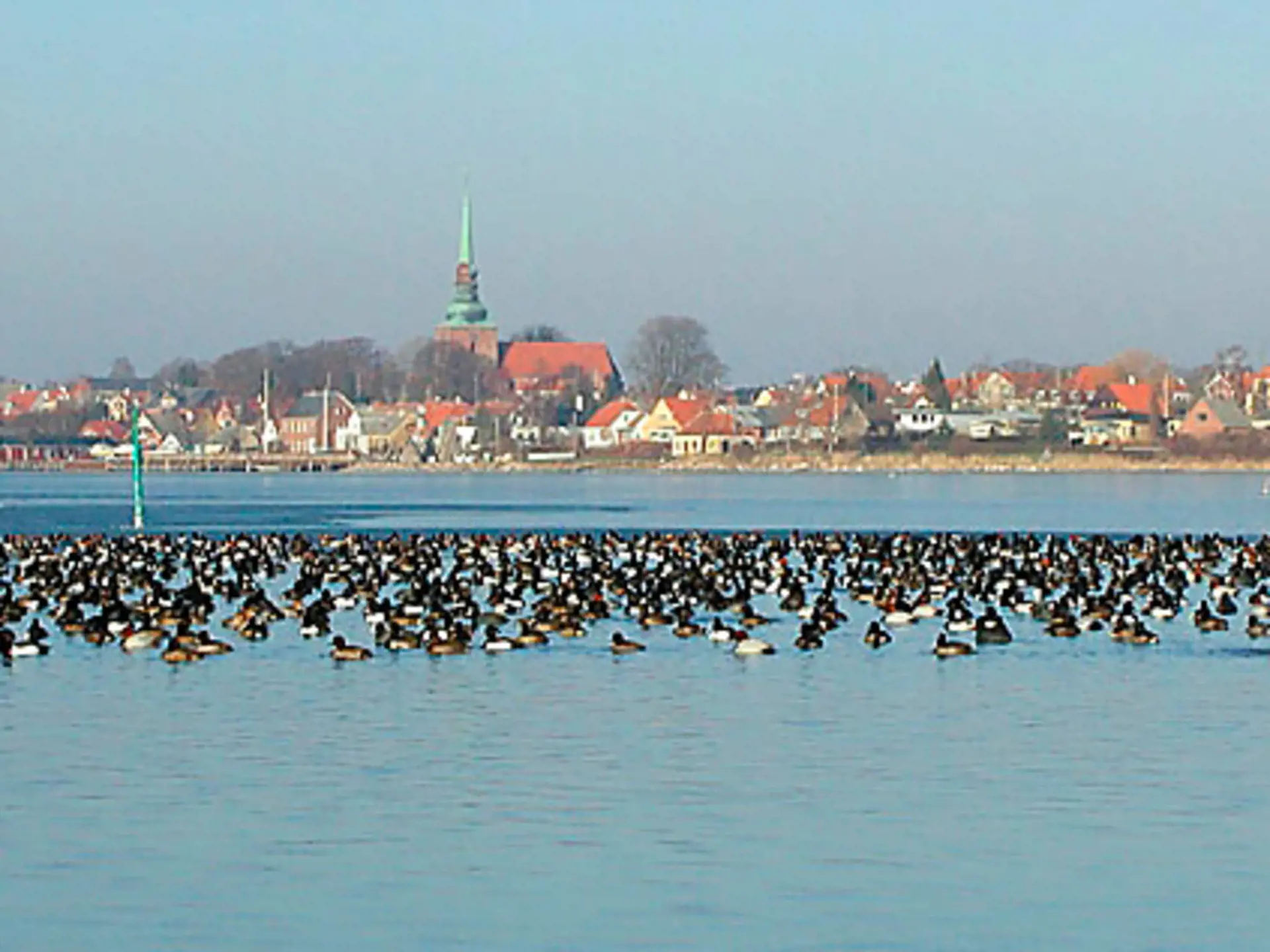 Bild 22 von 22