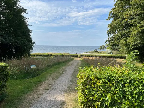 Bild 39 von 40