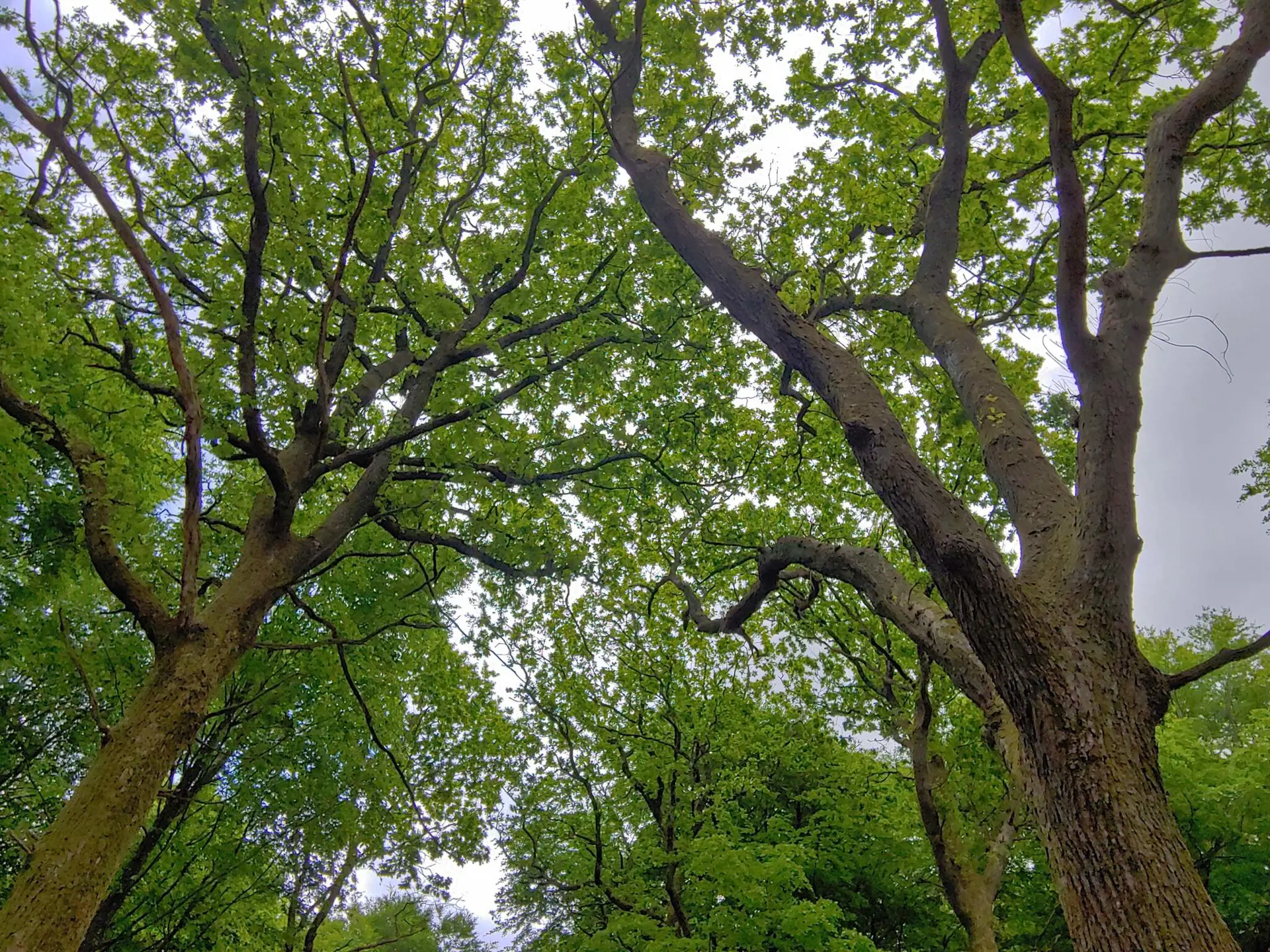Bild 32 von 37