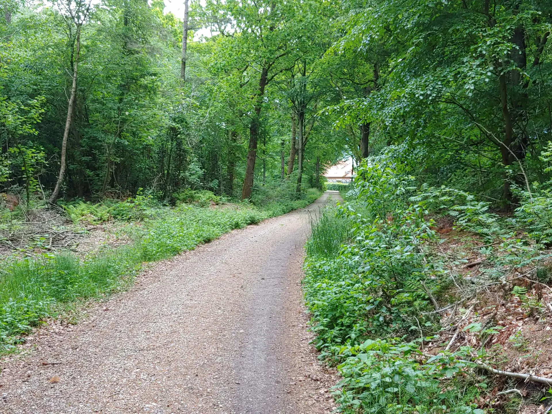 Bild 35 von 37