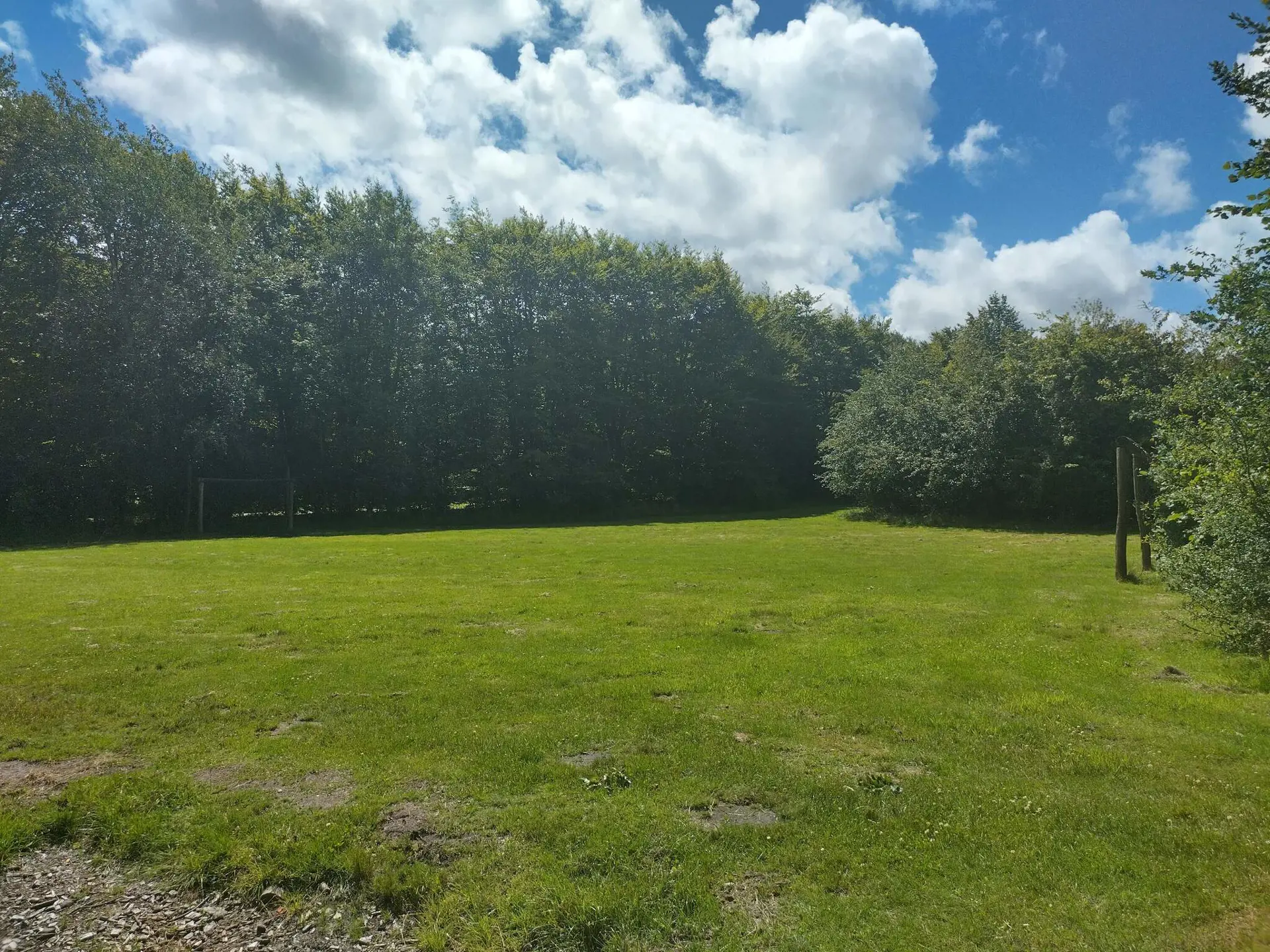 Bild 36 von 37