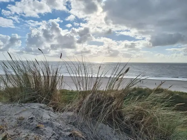 Bild 37 von 40