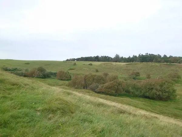 Bild 36 von 37