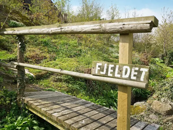 Bild 5 von 14
