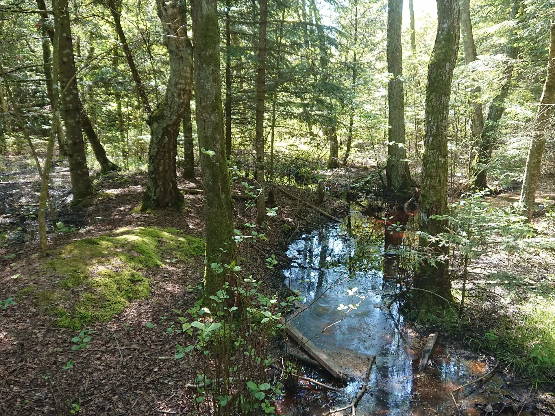 Bild 20 von 40