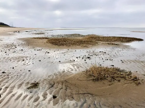 Bild 25 von 39