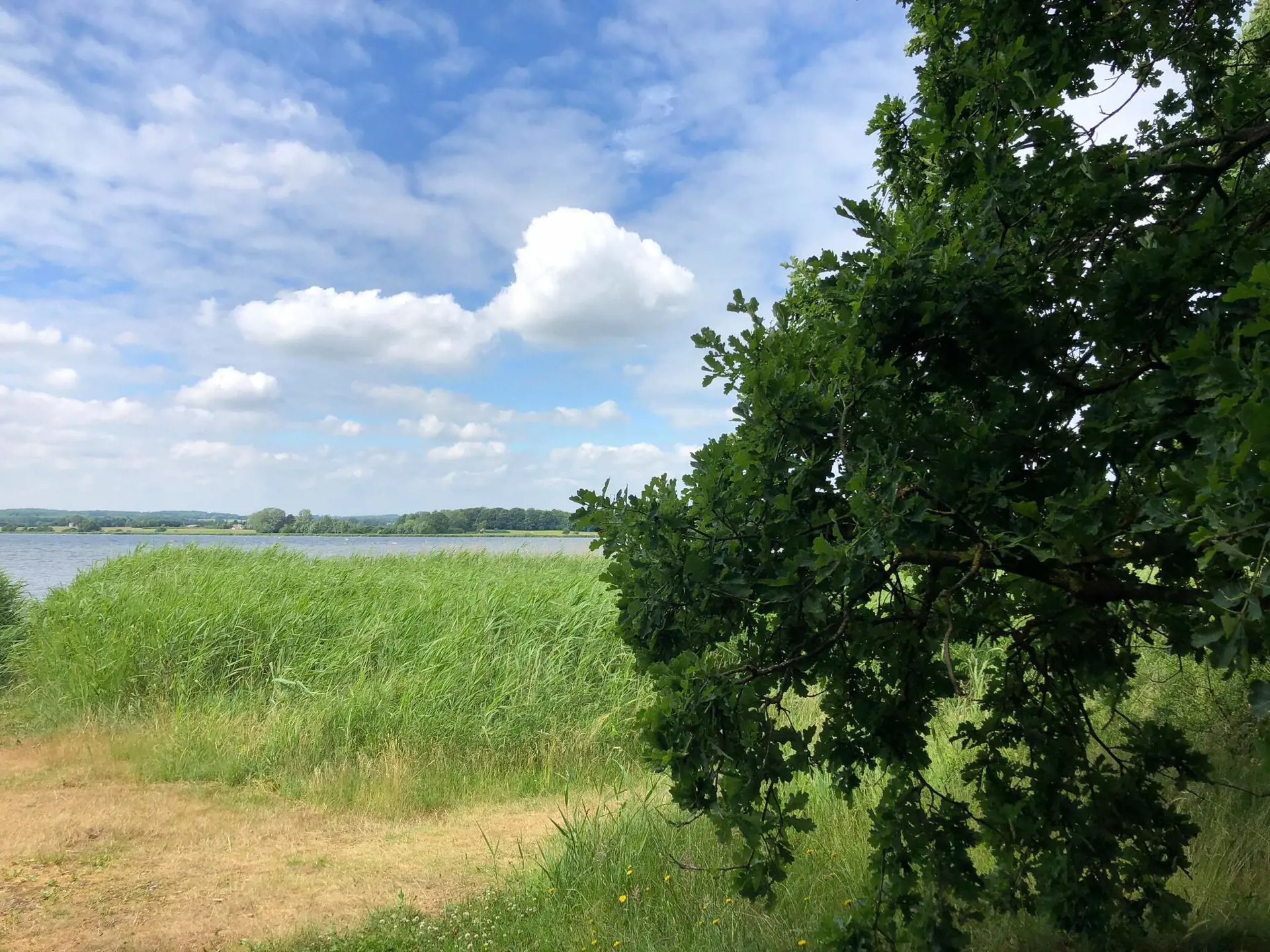 Bild 33 von 40