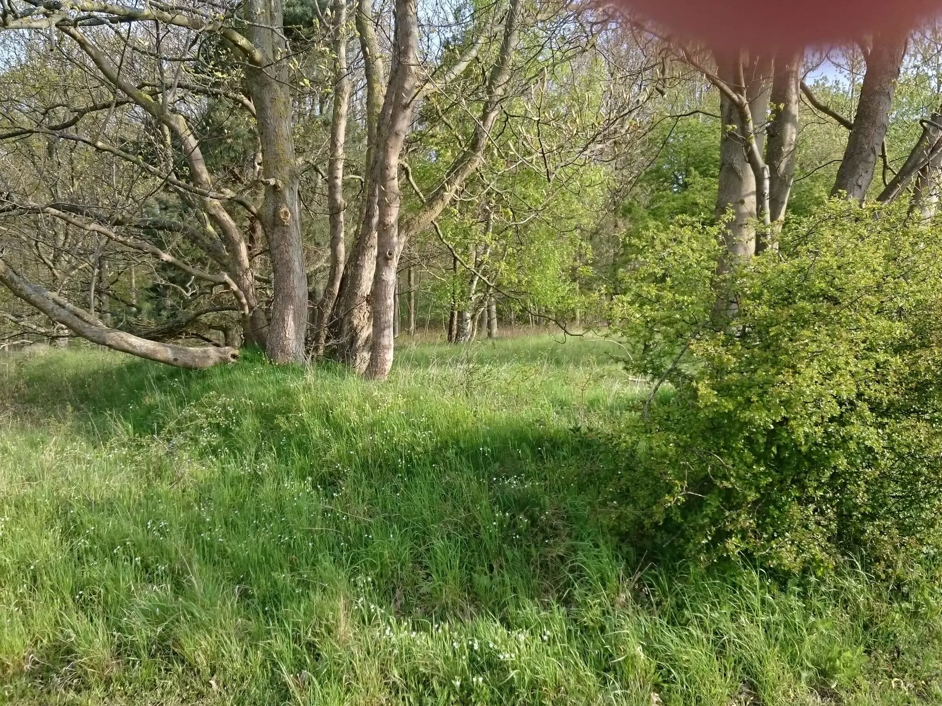 Bild 34 von 40
