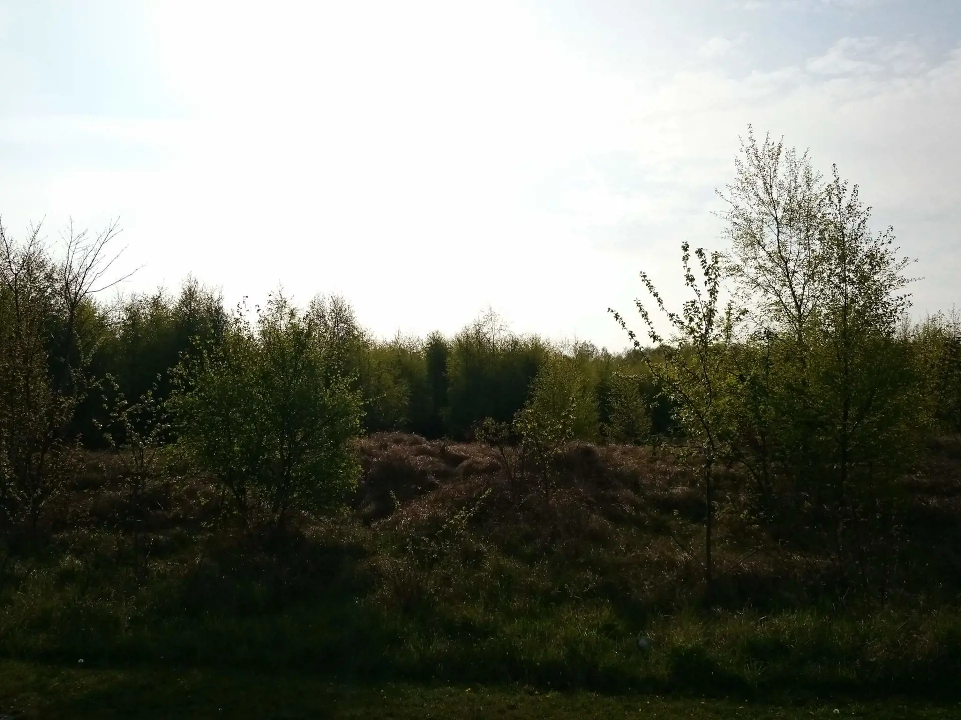 Bild 35 von 40