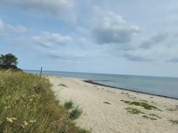 Bild 25 von 44