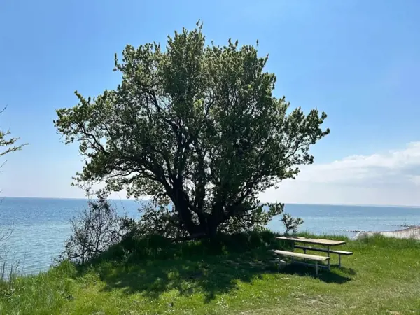 Bild 30 von 44