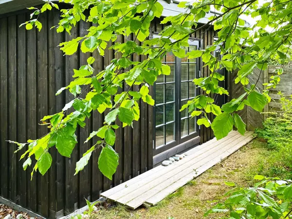 Bild 3 von 21